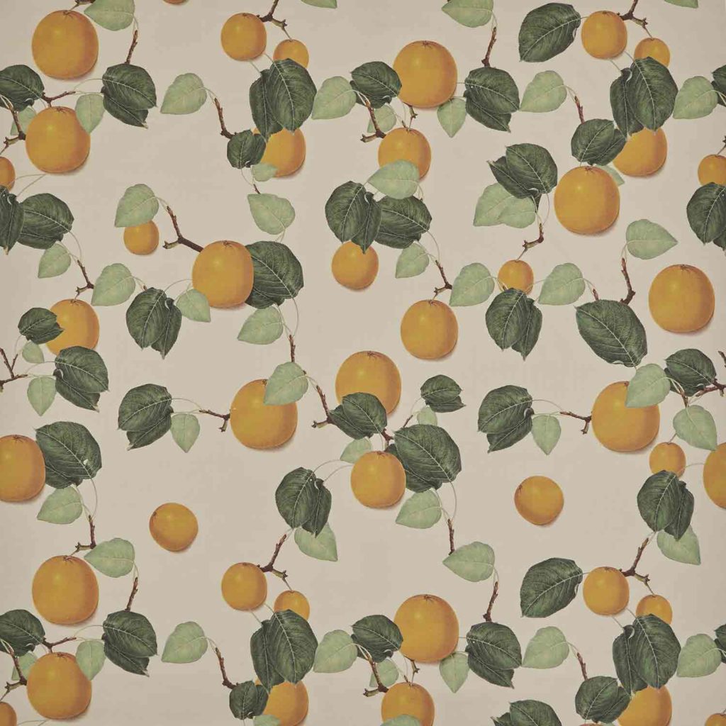 orange wallpaper oranges fruit repeats leaves branches